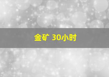 金矿 30小时